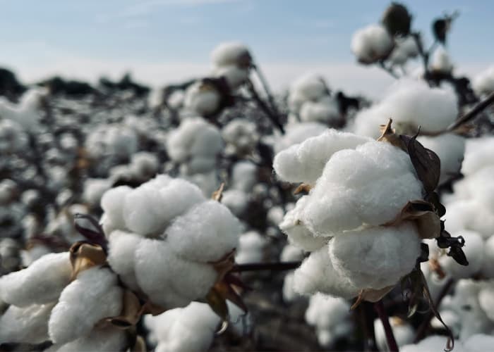 Composition protections périodiques